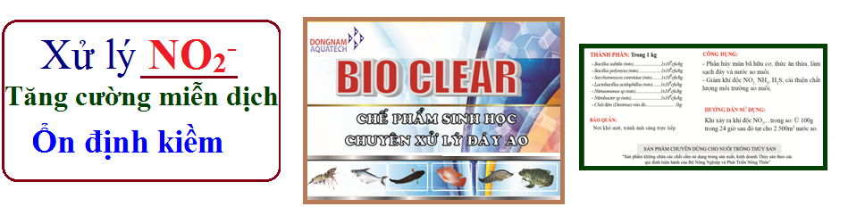 Men vi sinh xử lí khí độc NO2, NH3- Bio Clear