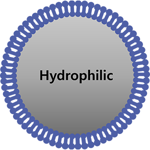 Lớp phủ Hydrophilic Coatings