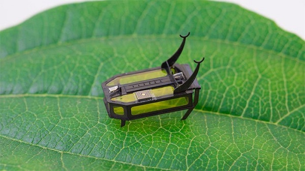 RoBeetle- robot cực nhỏ đầu tiên chạy bằng cồn