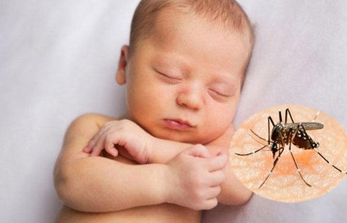 9 loại bệnh nguy hiểm do muỗi mang tới