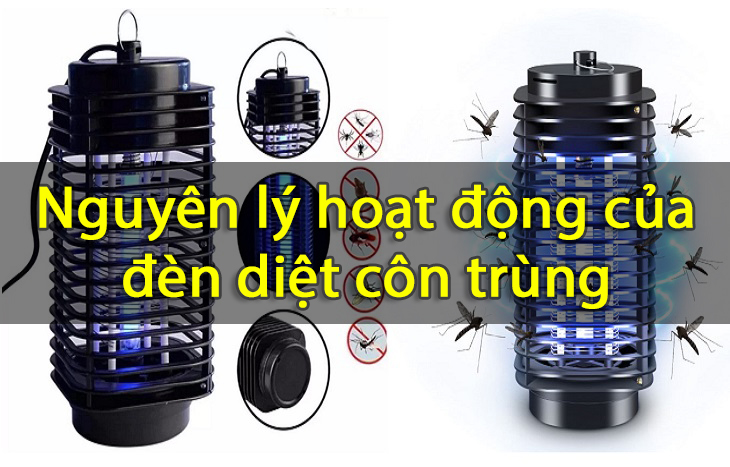 Đèn diệt côn trùng là gì và nguyên lý hoạt động của đèn diệt côn trùng ?