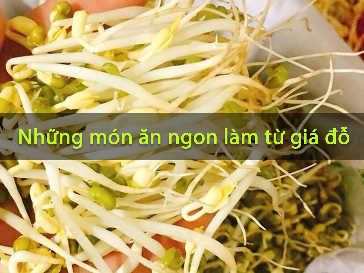 5 món ăn ngon, giàu dinh dưỡng làm từ giá đỗ