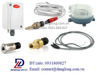 Công ty TNHH thương mại dịch vụ Đăng Long