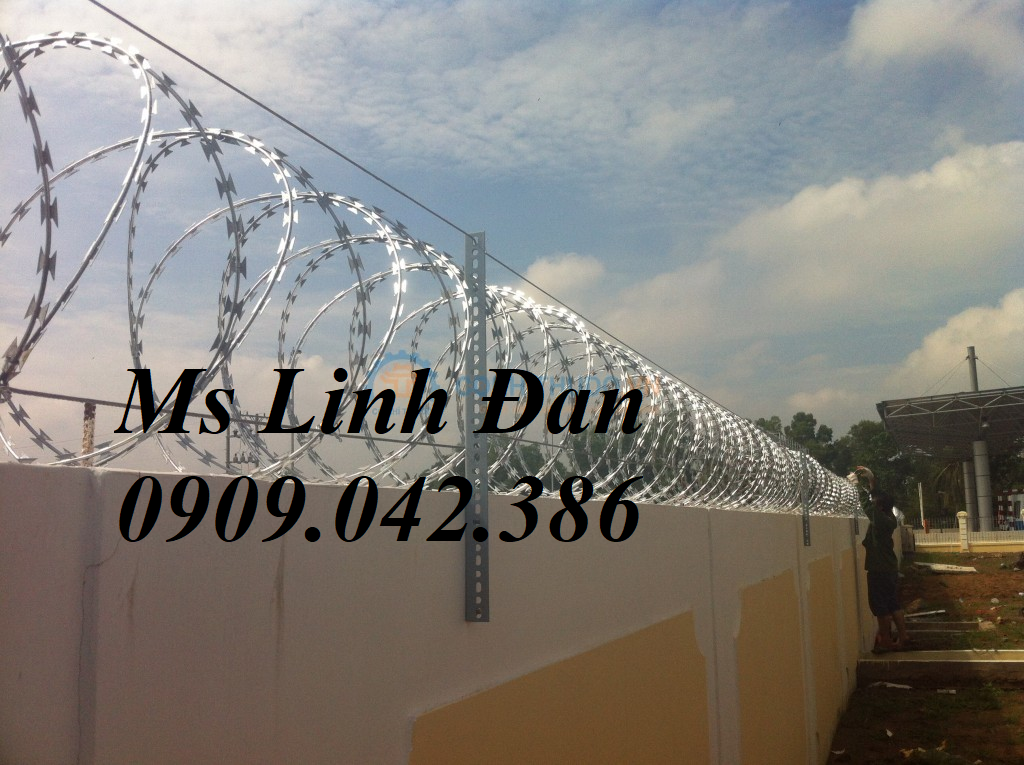 Hàng rào dây thép gai