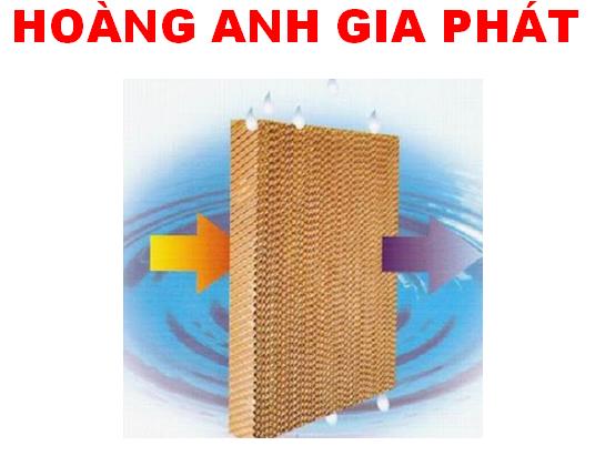 Công ty TNHH MTV Hoàng Anh Gia Phát