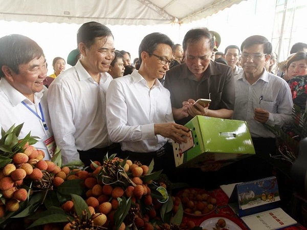 Quy trình xác thực chống hàng giả đầu tiên của Việt Nam được cấp bằng độc quyền sáng chế