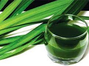 Loại bỏ chất ô nhiễm khỏi môi trường nước từ lá dứa