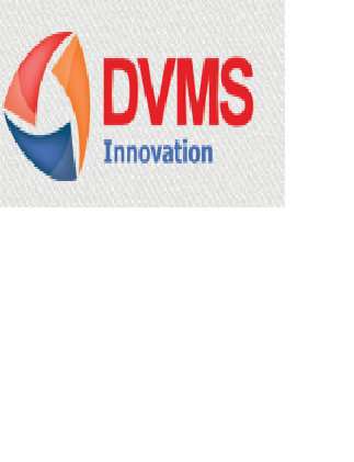Công Ty TNHH DVMS