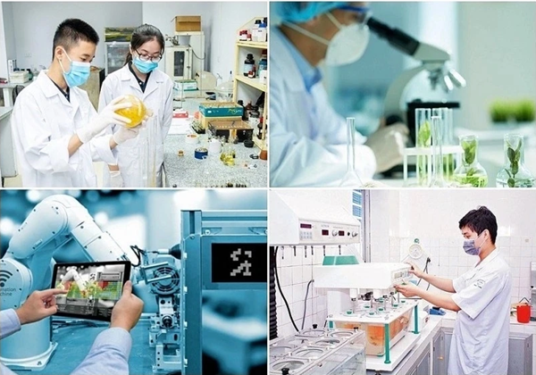 Bộ KH&CN ban hành hướng dẫn về liêm chính khoa học và đạo đức nghề nghiệp