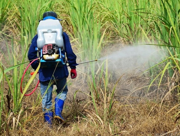 Cảm biến phát hiện thuốc diệt cỏ độc hại: Bước tiến mới trong giám sát môi trường và an toàn nông nghiệp
