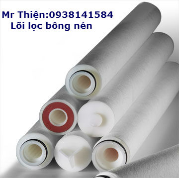 Lõi lọc máy RO 0.5 micron 1 micron 5 micron