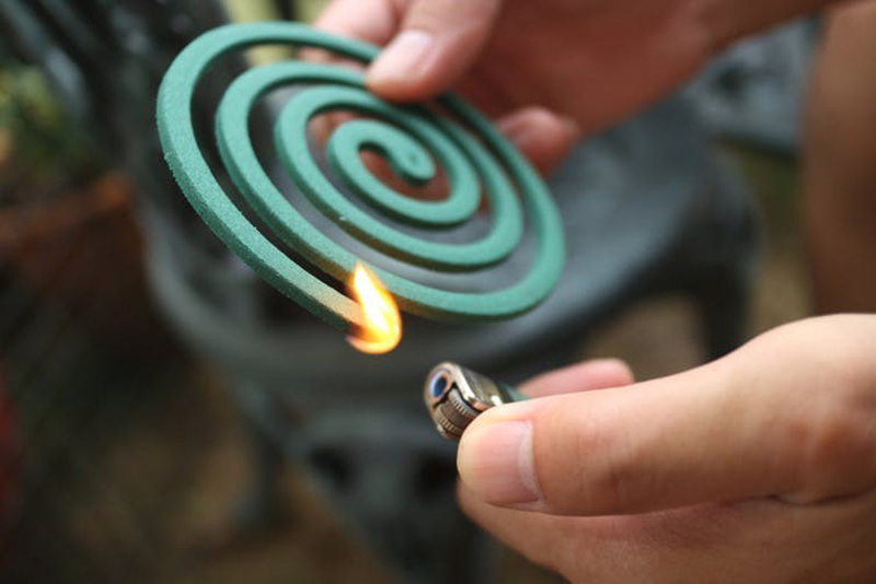 Một vài biện pháp diệt muỗi hiệu quả