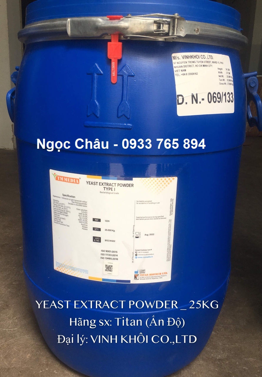 Yeast Extract Powder (Cao nấm men)