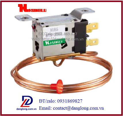 Công ty TNHH thương mại dịch vụ Đăng Long