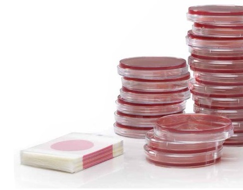 Đĩa Petrifilm kiểm E. coli và Coliforms 3M, 6404-6414, hộp 50 đĩa