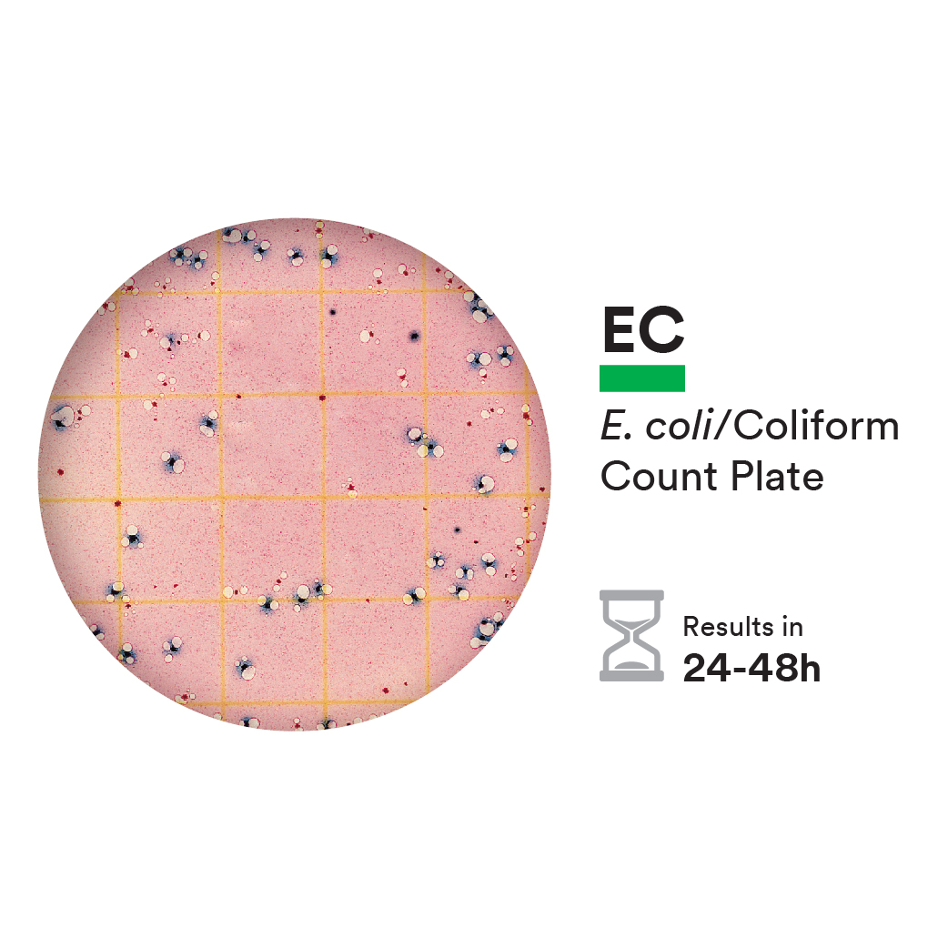 Đĩa Petrifilm kiểm E. coli và Coliforms 3M, 6404-6414, hộp 50 đĩa