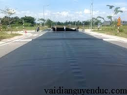Màng chống thấm HDPE