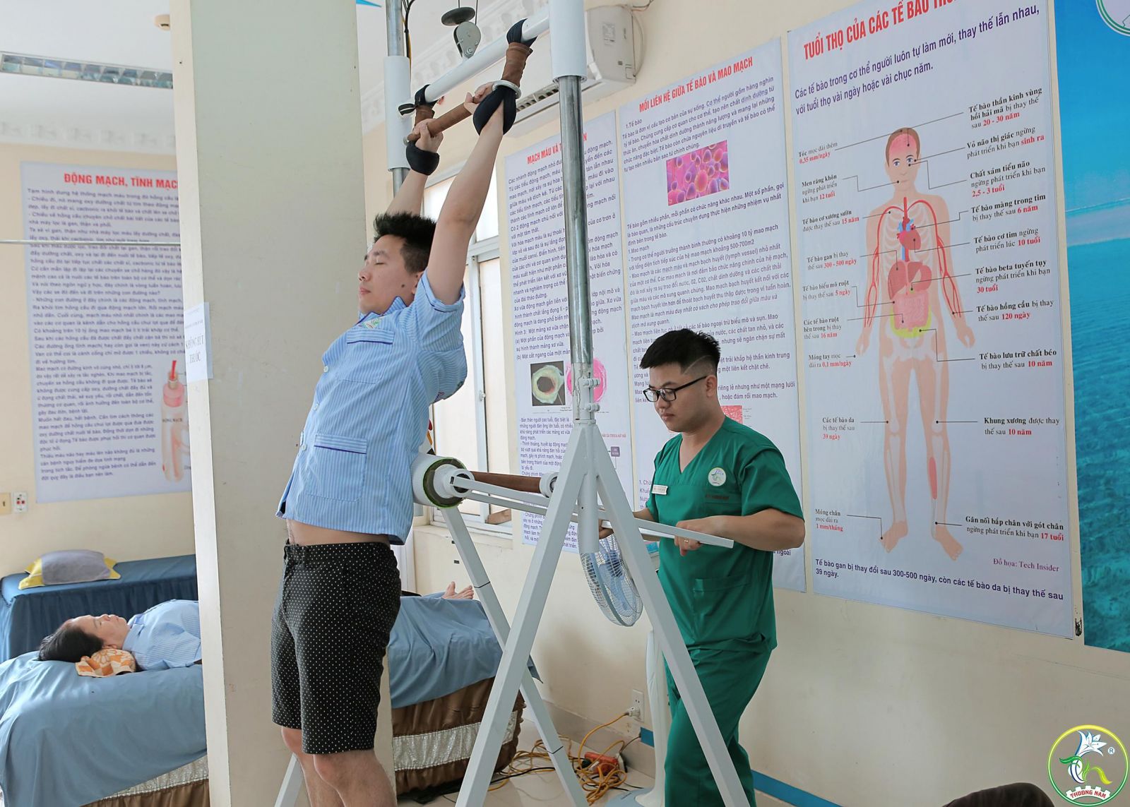 Công ty TNHH Thương Nam