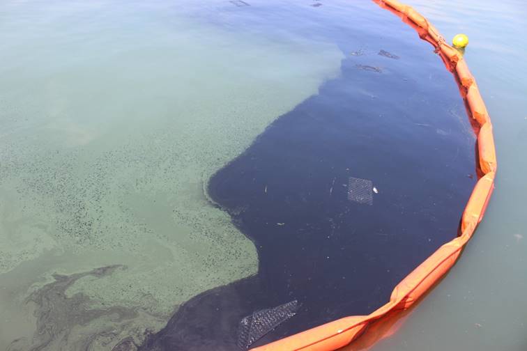Phao quây dầu tràn trên sông, biển- giải pháp xử lý sự cố tràn dầu nhanh chóng, hiệu quả