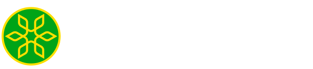 Công ty cổ phần giải pháp chuyên gia Star Global