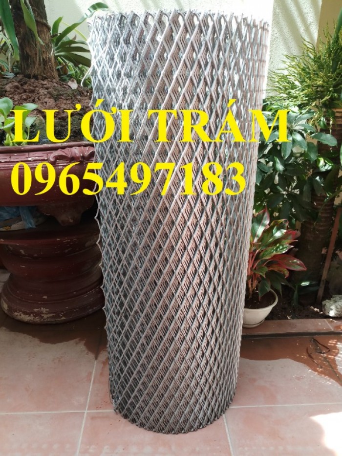 Lưới Trám 30X60mm , lưới mắt cáo 30x60mm, dày 2mm, 3mm