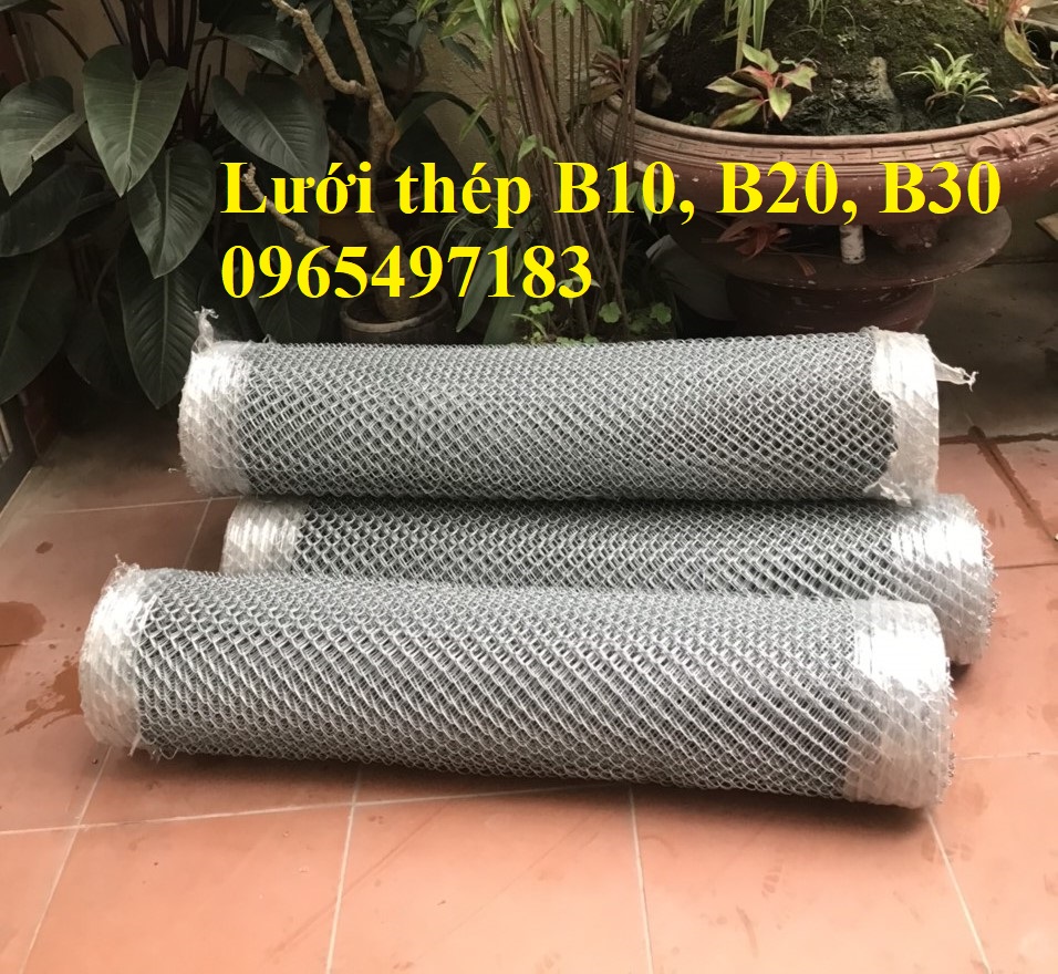 Lưới thép B10, B20, B25, B30 mạ kẽm làm hàng rào, chuồng trại chăn nuôi