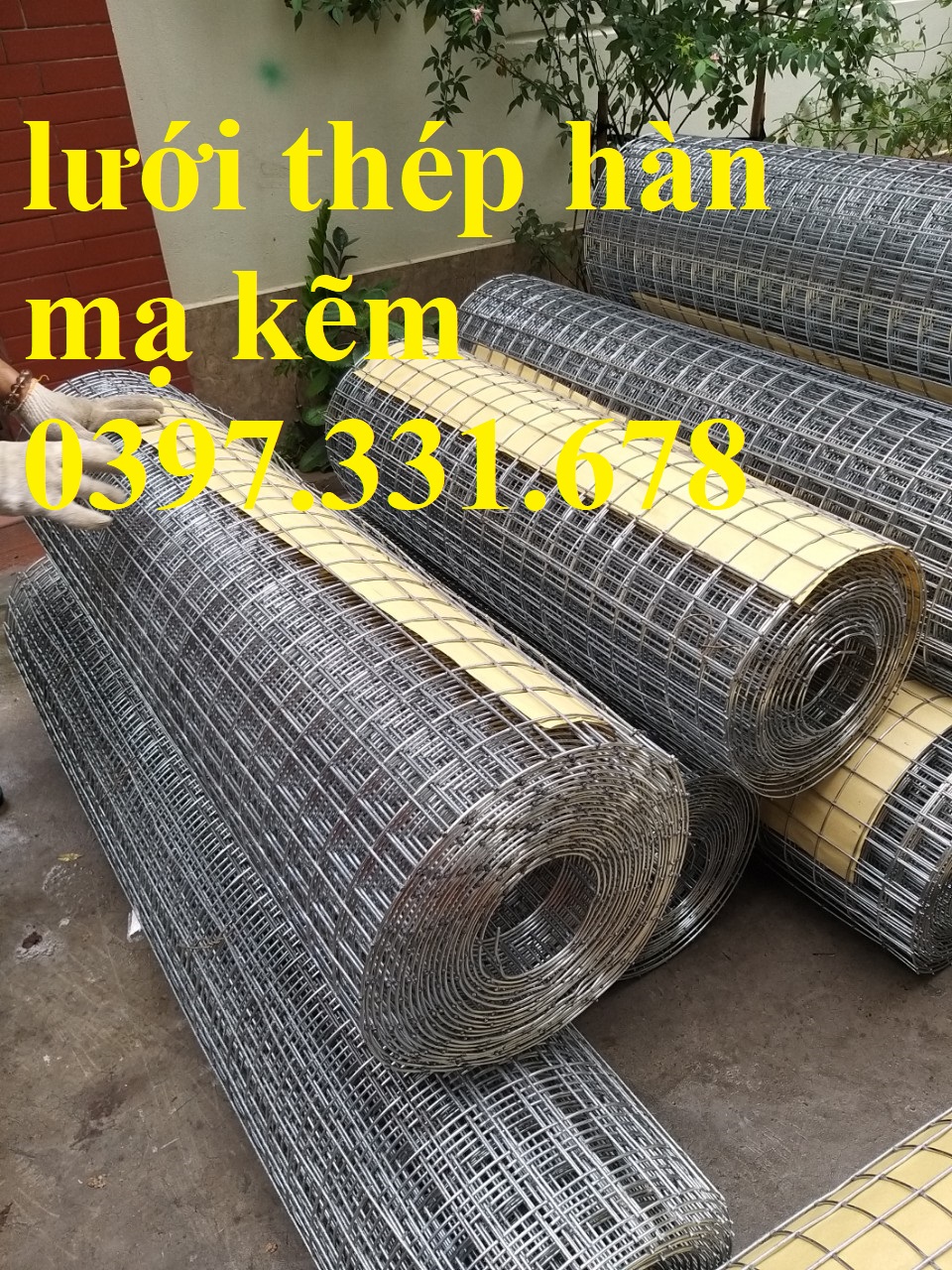 Lưới thép hàn phi 3 ô 50x50 mạ kẽm hàng sẵn kho