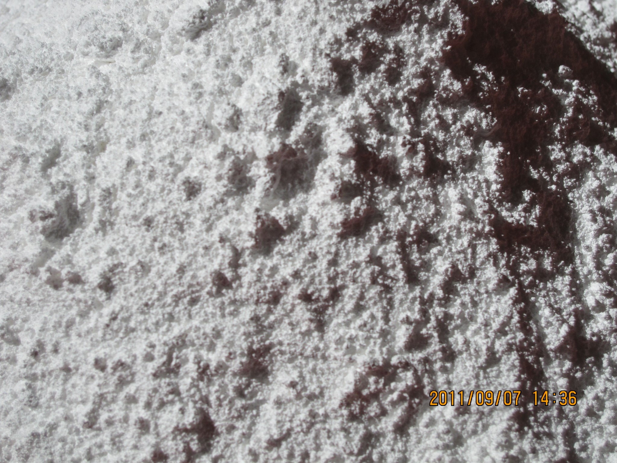 Bột nặng CaCO3 (Heavy calcium carbonate powder) - Loại không tráng phủ
