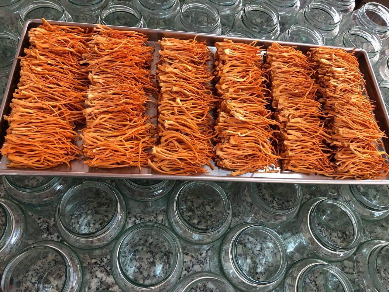 Máy sấy thăng hoa mini HR-3