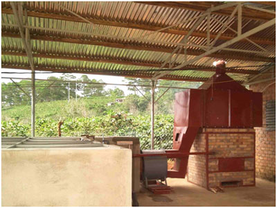 Máy sấy cà phê nhân tươi