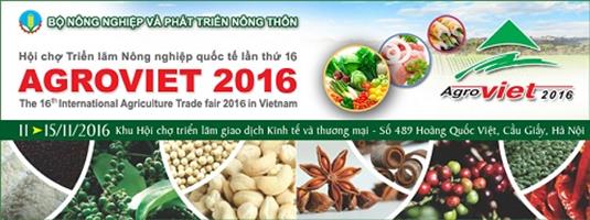 hinh-anh-su-kien