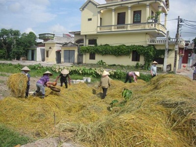 Mô hình sản xuất chế phẩm vi sinh vật Compost maker