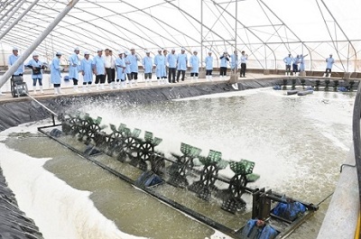 Chương trình Tăng tốc khởi nghiệp sáng tạo trong nông nghiệp