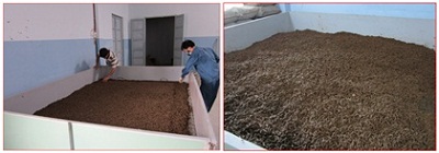 Công nghệ sản xuất thức ăn công nghiệp cho tôm hùm