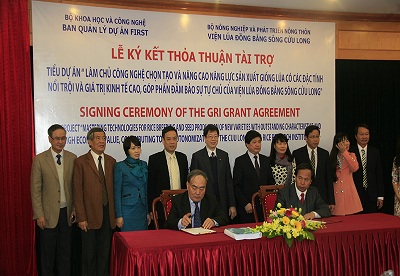 FIRST hỗ trợ 3 triệu USD nâng cao năng lực sản xuất giống lúa