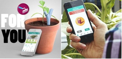 Flower Power - Thiết bị giúp bạn luôn nhớ tưới cây đúng lúc