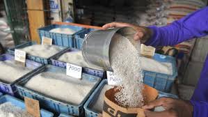 Tạo ra giống lúa mới giàu tinh bột thải ít mêtan
