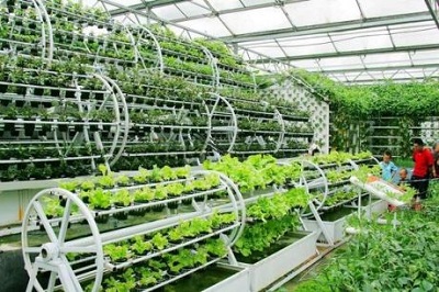 Hỗ trợ 300 triệu đồng cho mỗi mô hình khởi nghiệp trong lĩnh vực nông nghiệp