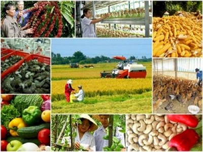 Hỗ trợ tối đa 90% phí bảo hiểm nông nghiệp cho hộ nghèo
