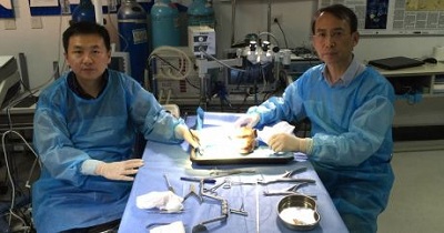 Nghiên cứu dùng sợi tơ tằm để sử dụng trong các ca phẫu thuật não
