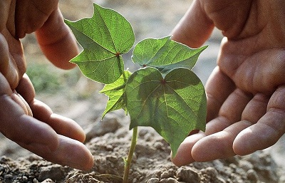 Nghiên cứu và phát triển thành công đất nhân tạo