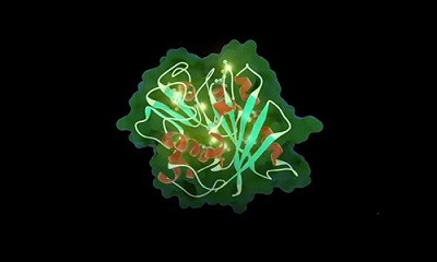 Phát triển enzyme có khả năng phân hủy nhựa bằng phương pháp gây đột biến