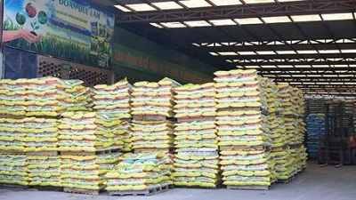 Phát triển phân bón hữu cơ để có nông nghiệp 