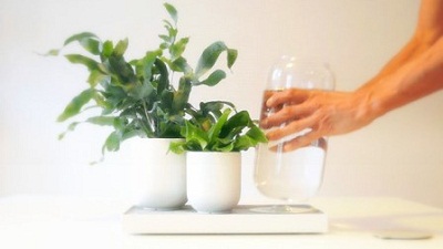Tableau - Hệ thống tưới cây thông minh