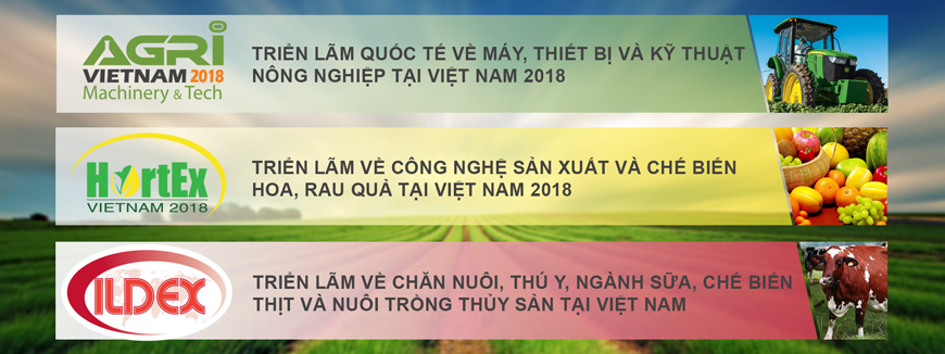 hinh-anh-su-kien