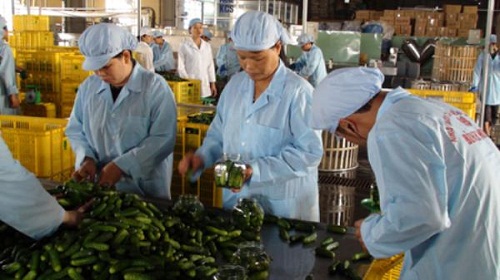 Tư vấn lộ trình đổi mới công nghệ cho doanh nghiệp