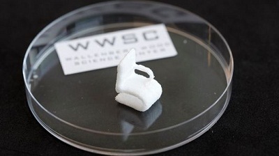 Vật liệu in 3D từ xơ gỗ