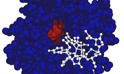 Vi khuẩn methanotrophic tiêu thụ khí nhà kính nhờ protein