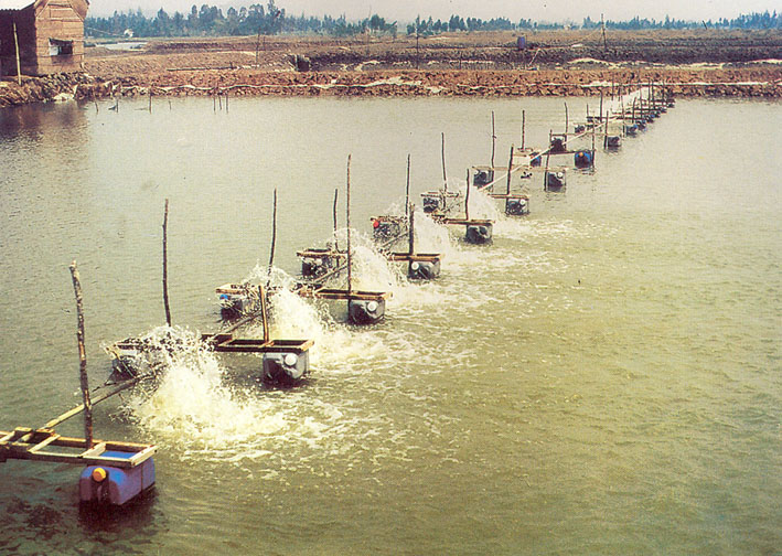 hinh-anh-su-kien