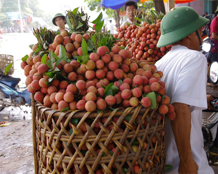 Công nghệ giữ thực phẩm đến 99.7% trong 10 năm